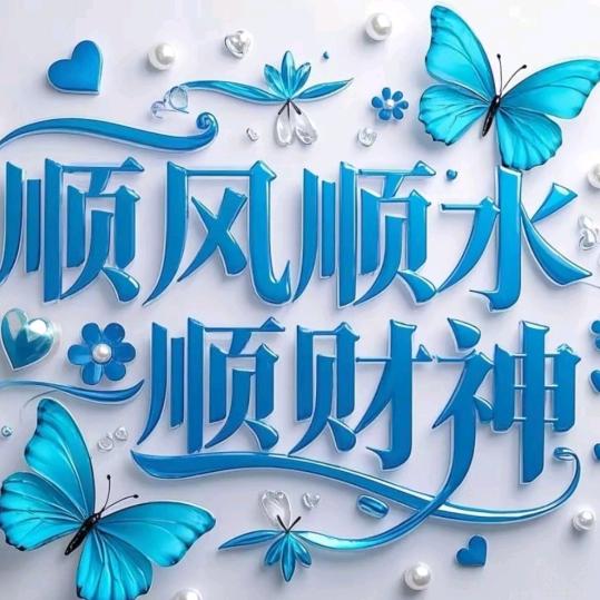 《飞哥》