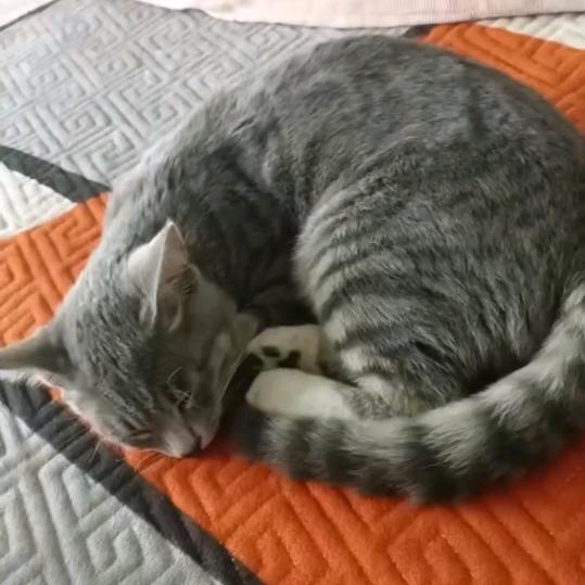 我不想死