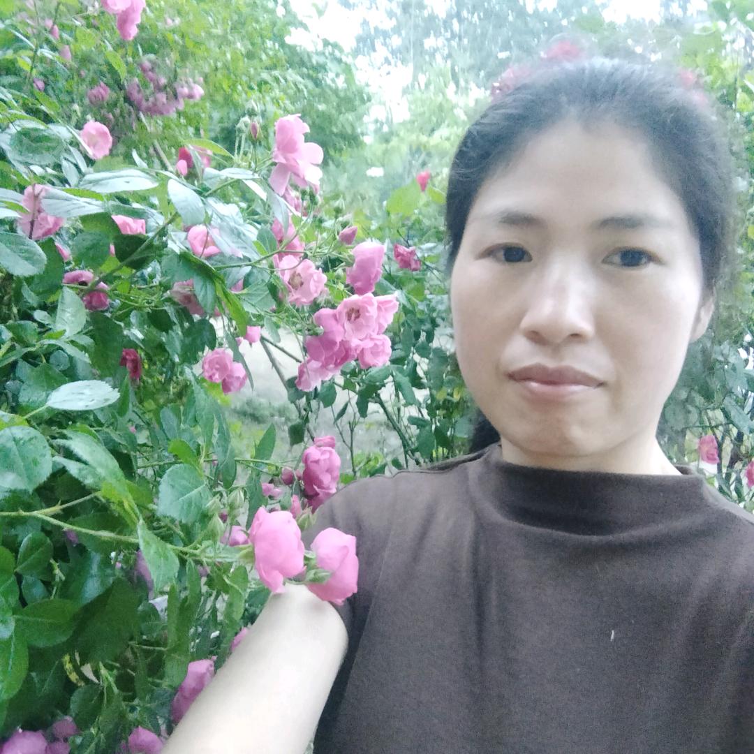 红芳