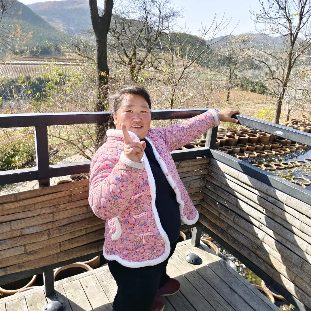 美丽的小草ii