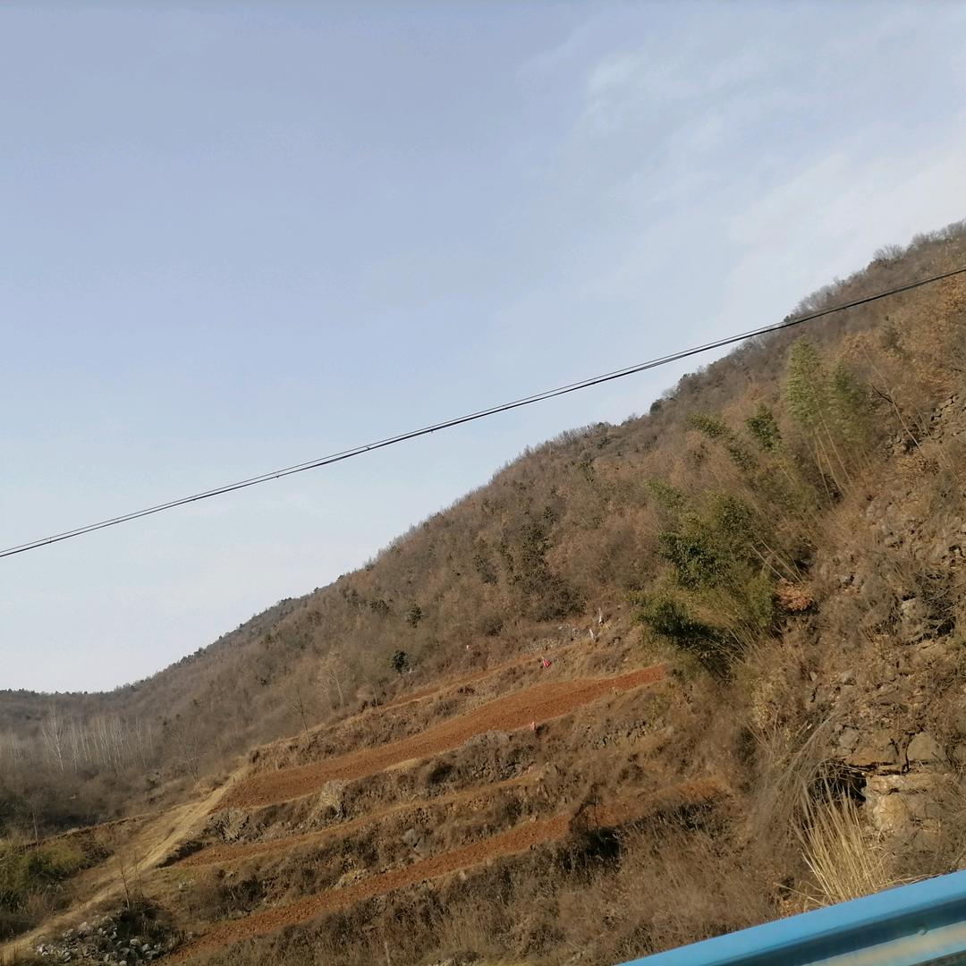 孙哥（蓓蓓妈首播早4：40）