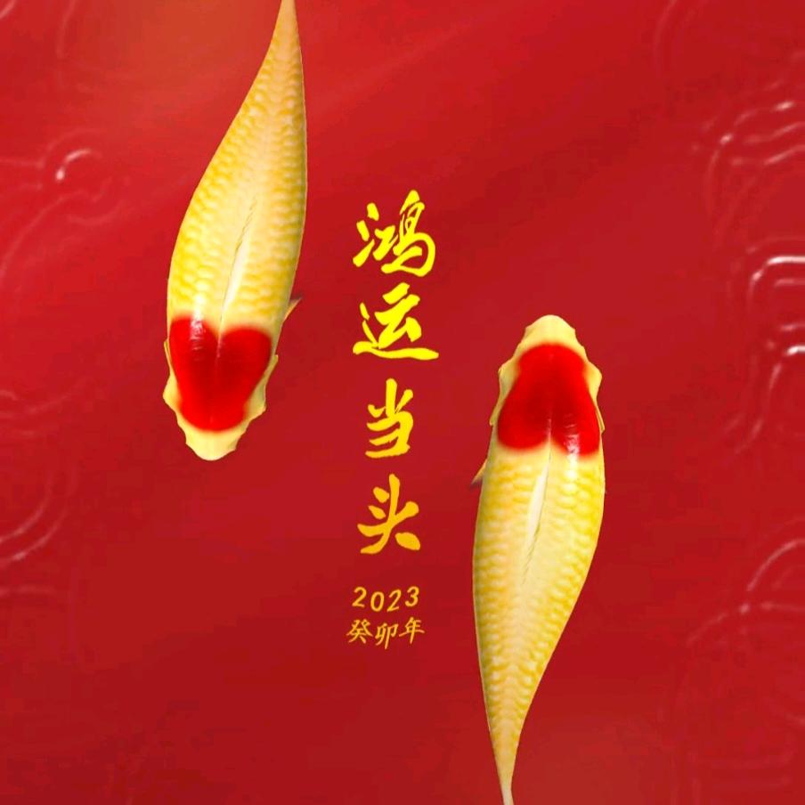 洪洞县苏堡镇蜀村石海和