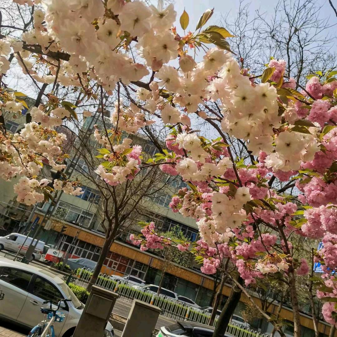 沉默