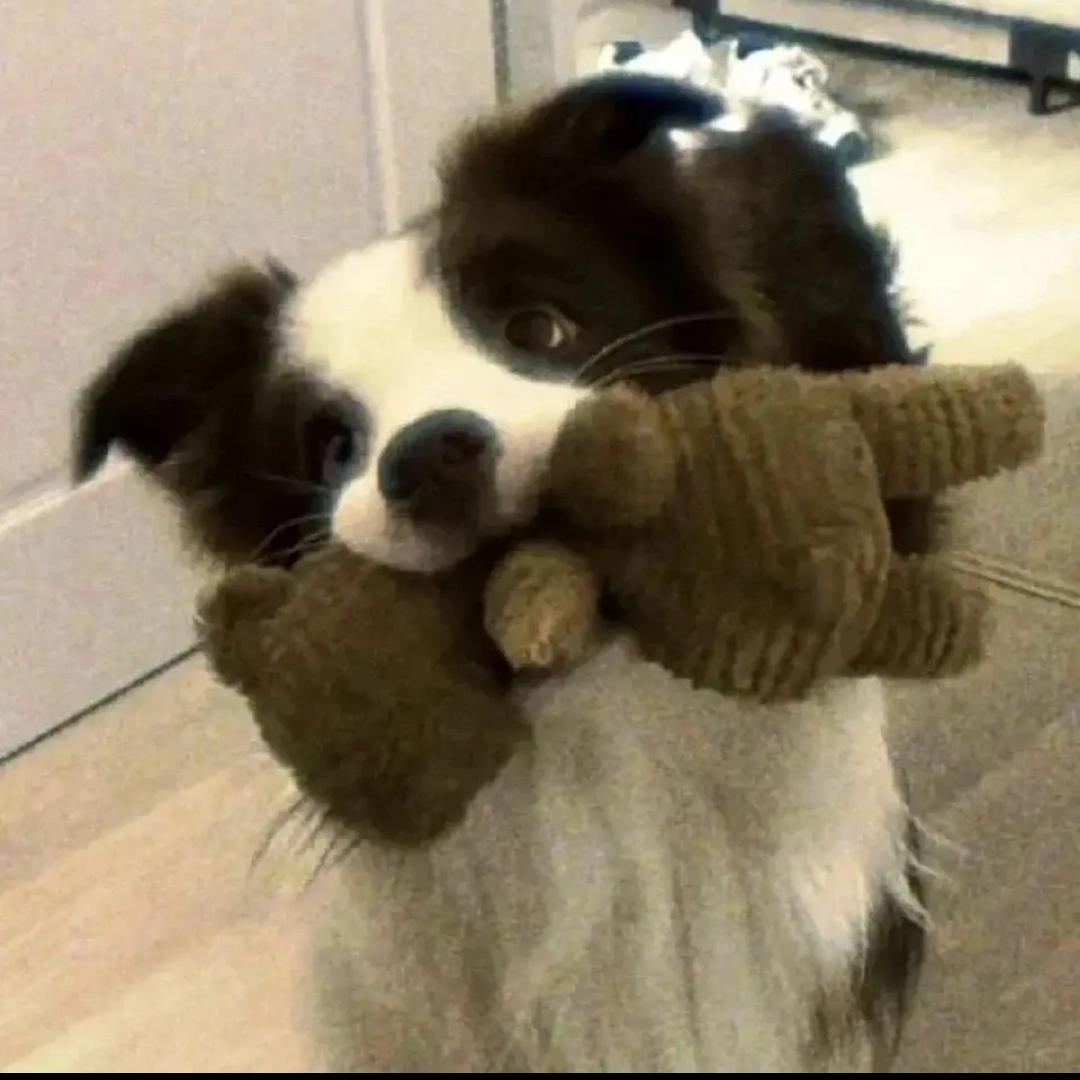 人骨风铃弥散曼陀罗