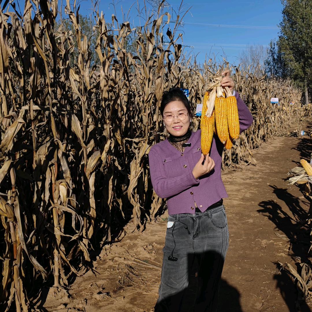 长治农大肥业农技