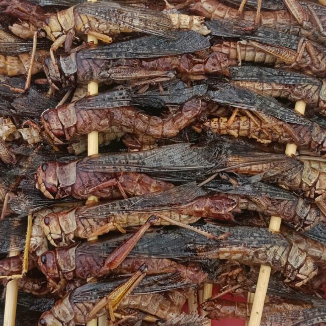 🏮涛烤官勾魂烤面筋（串）