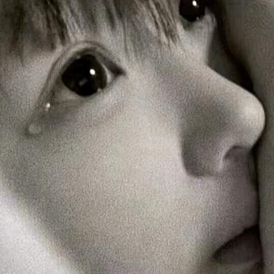 混过社会卖过萌