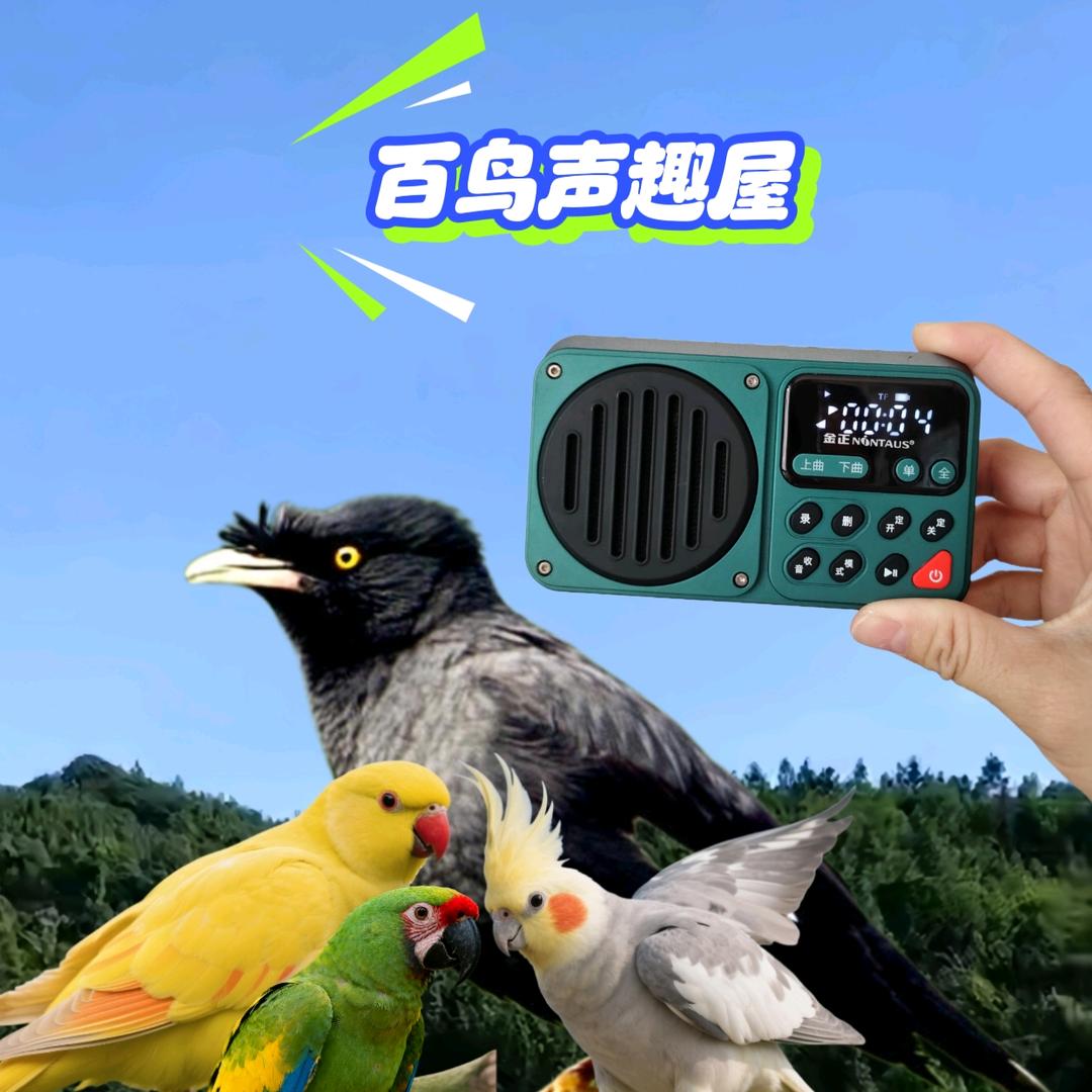 百鸟声趣屋🐦‍⬛🦜