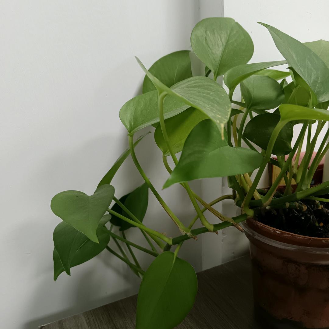 悦悦妈百货