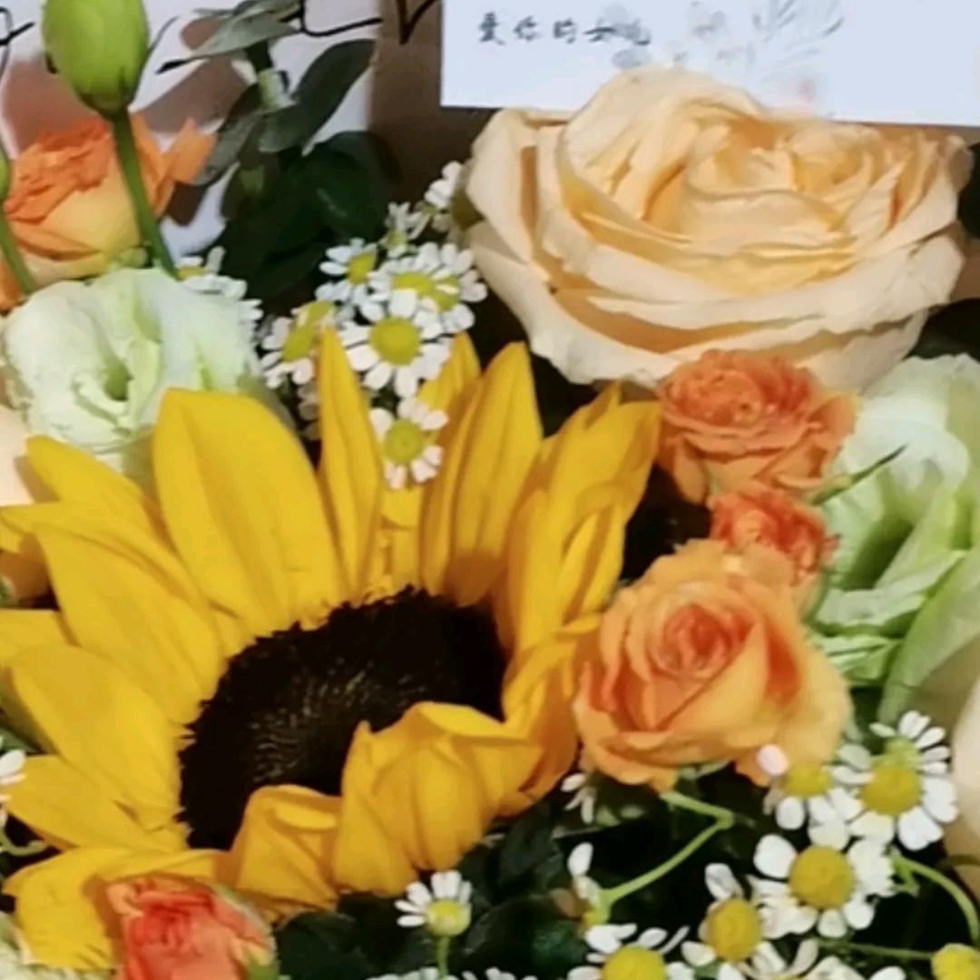 春风十里不如你