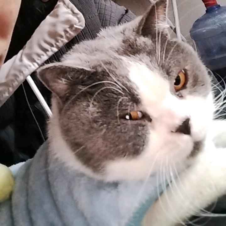 士季
