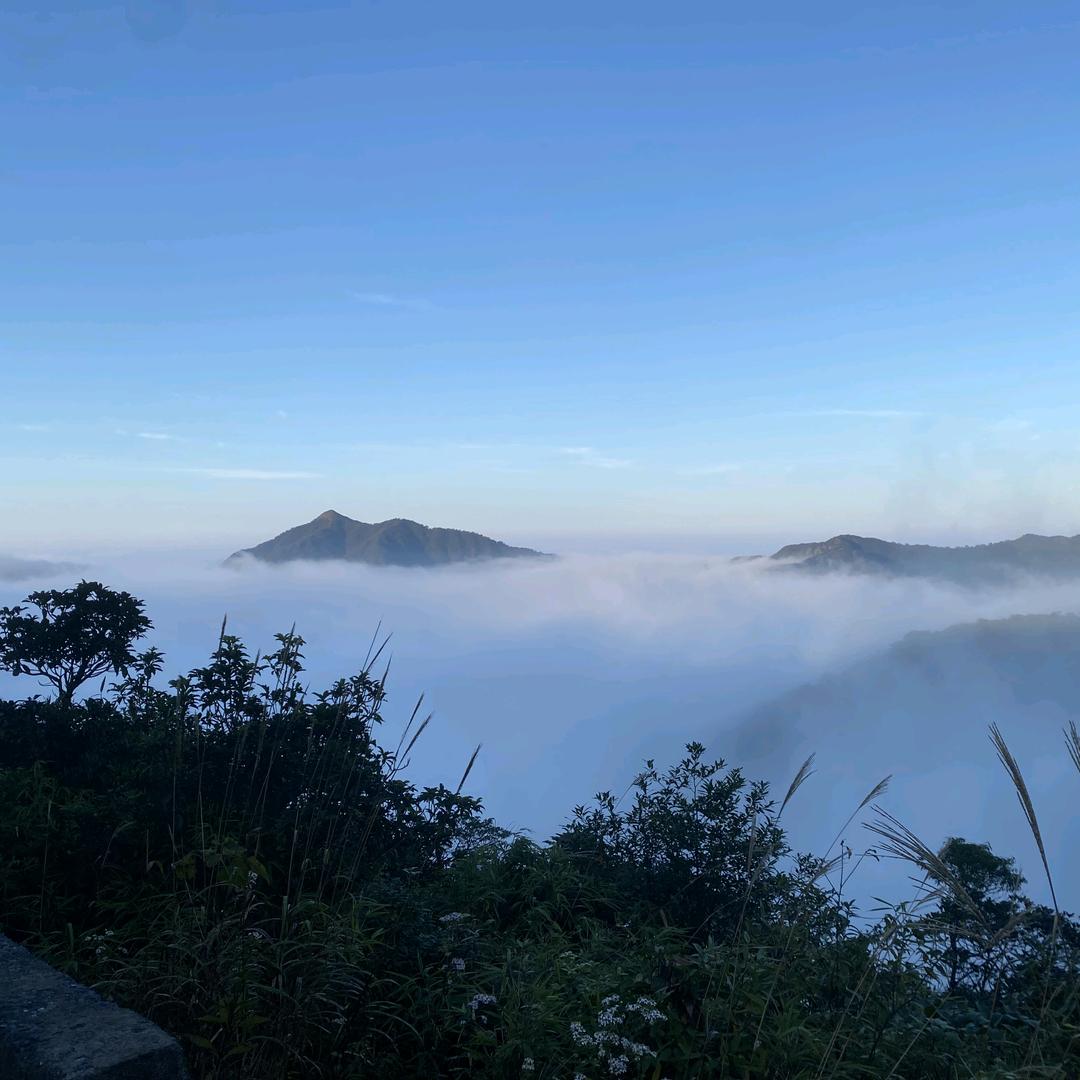 雪山非狐