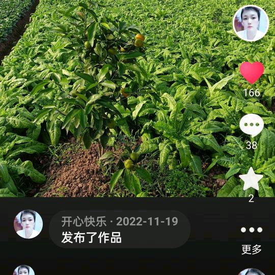 开心