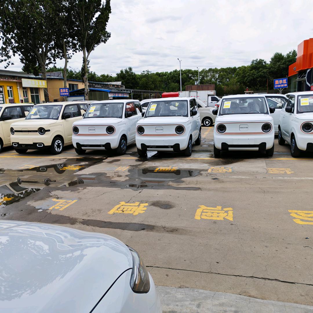 秀龙二手车（王三妮）主营新能源