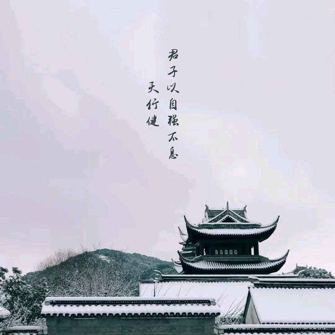 风尘过客