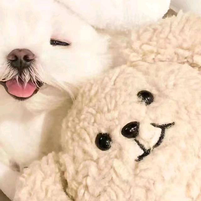 发财鱼.