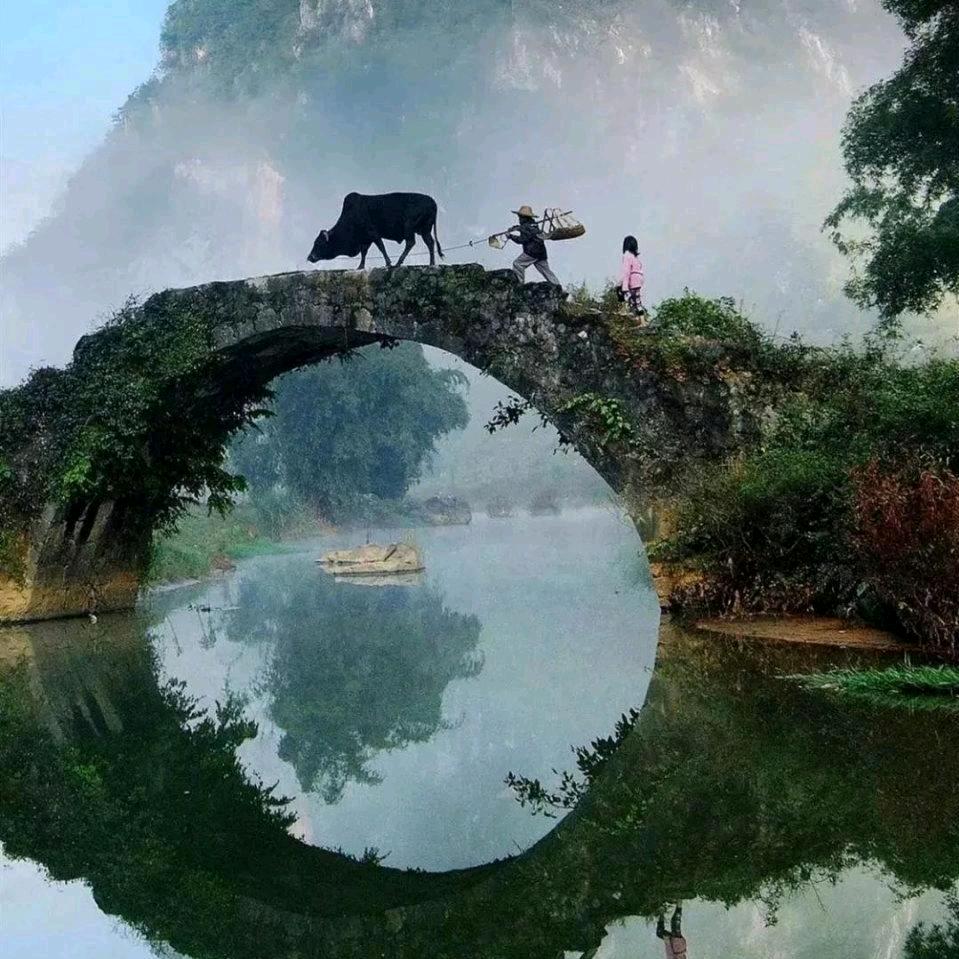 一味乡愁