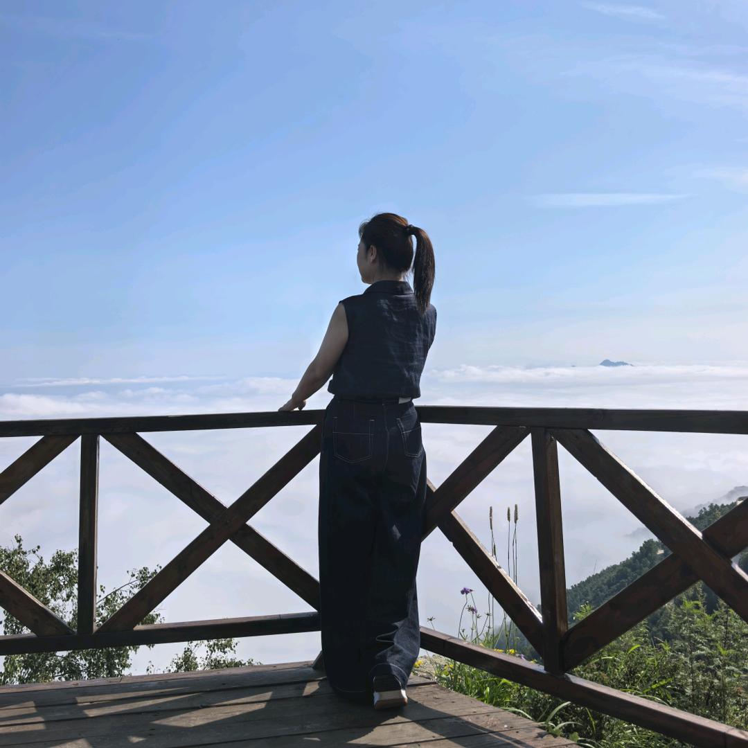 刘 静