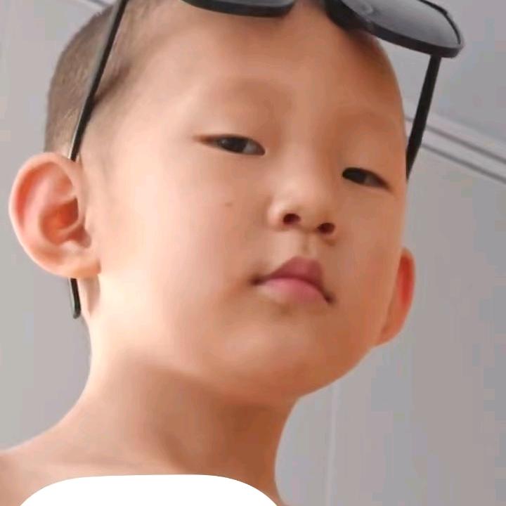 家有四宝