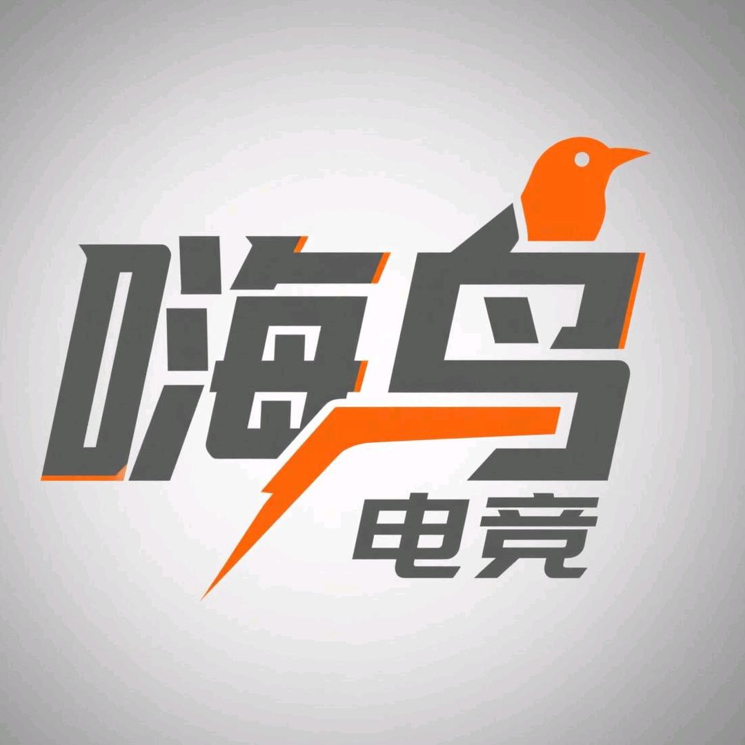 嗨鸟电竞
