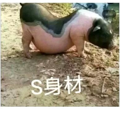 🐲海盗船长🐉