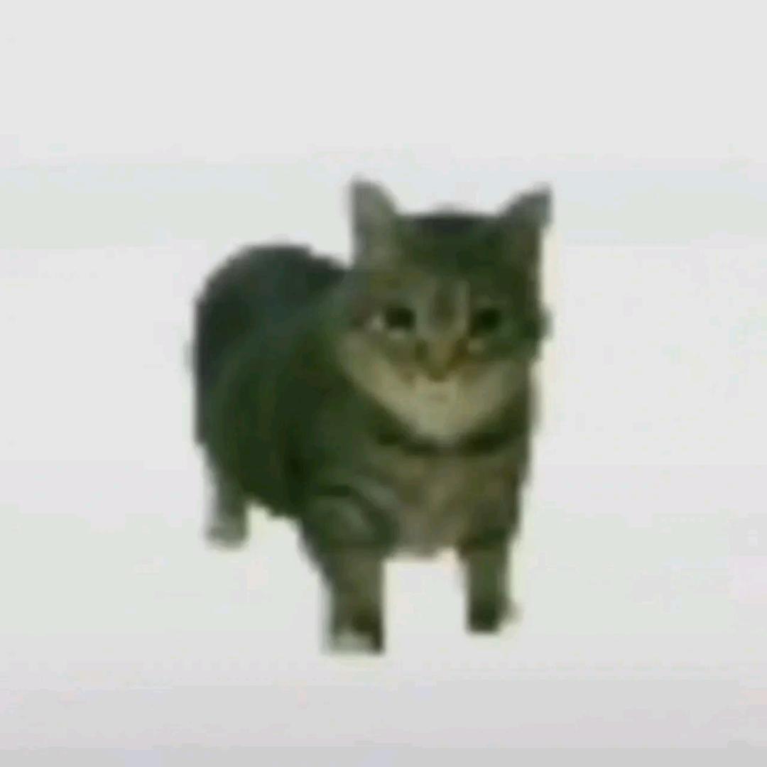 津岛修月