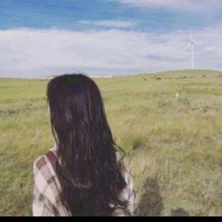 💖释然🌞☀️