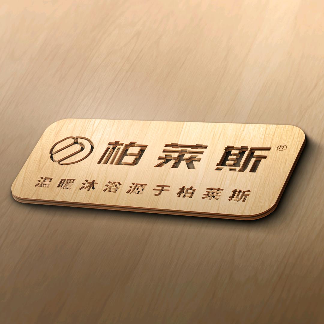 Mr.S(柏莱斯电器)
