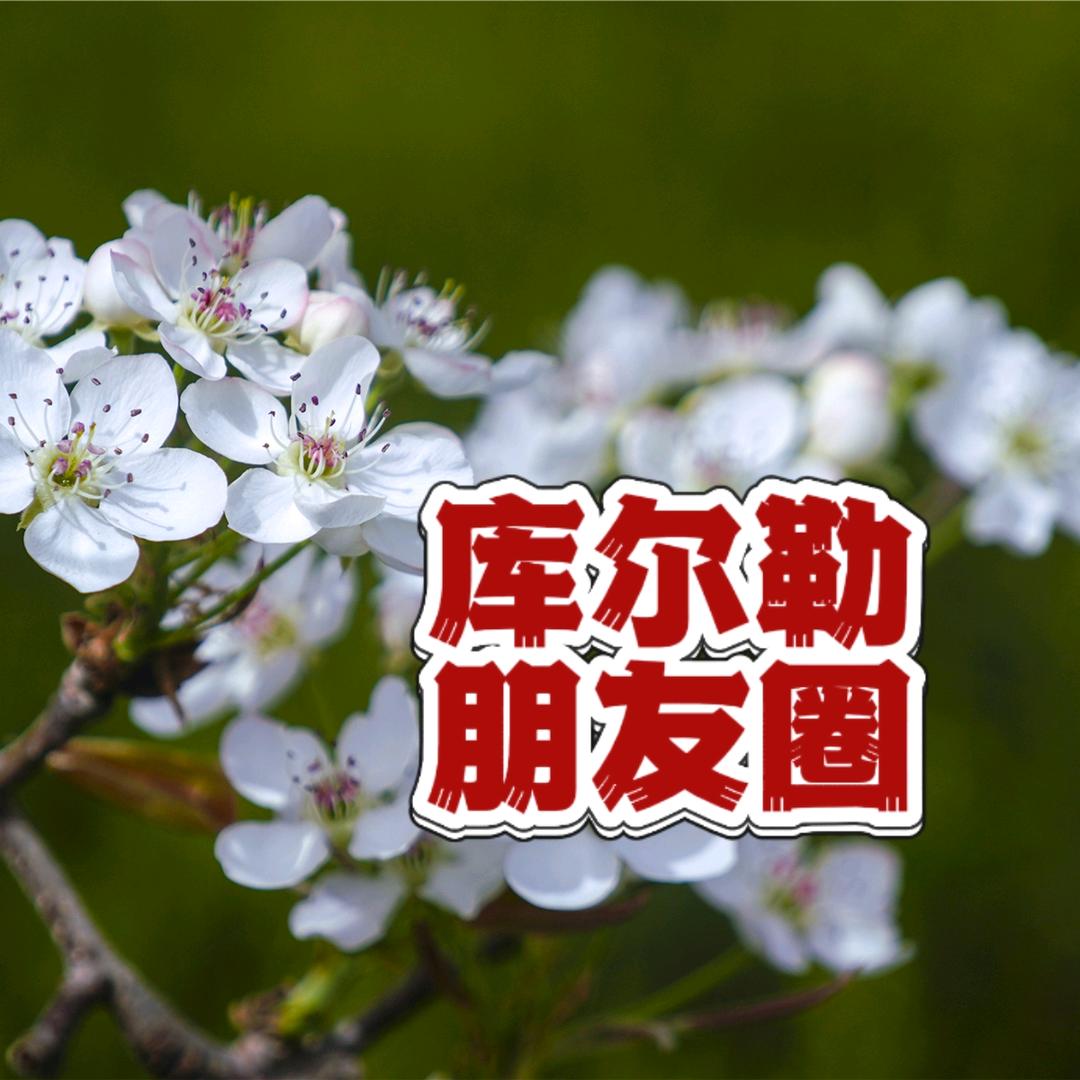 库尔勒朋友圈