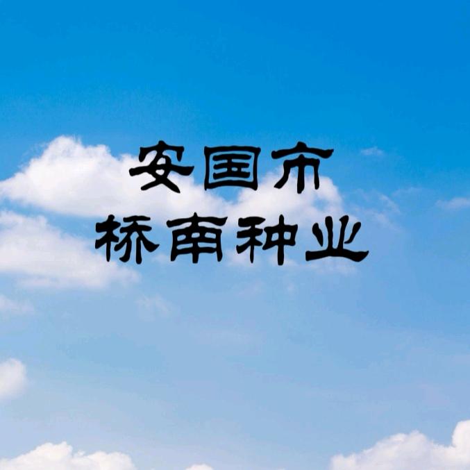 安国市桥南种业 丰收密码