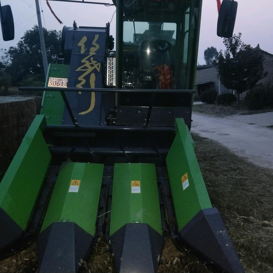 $    刚    子
