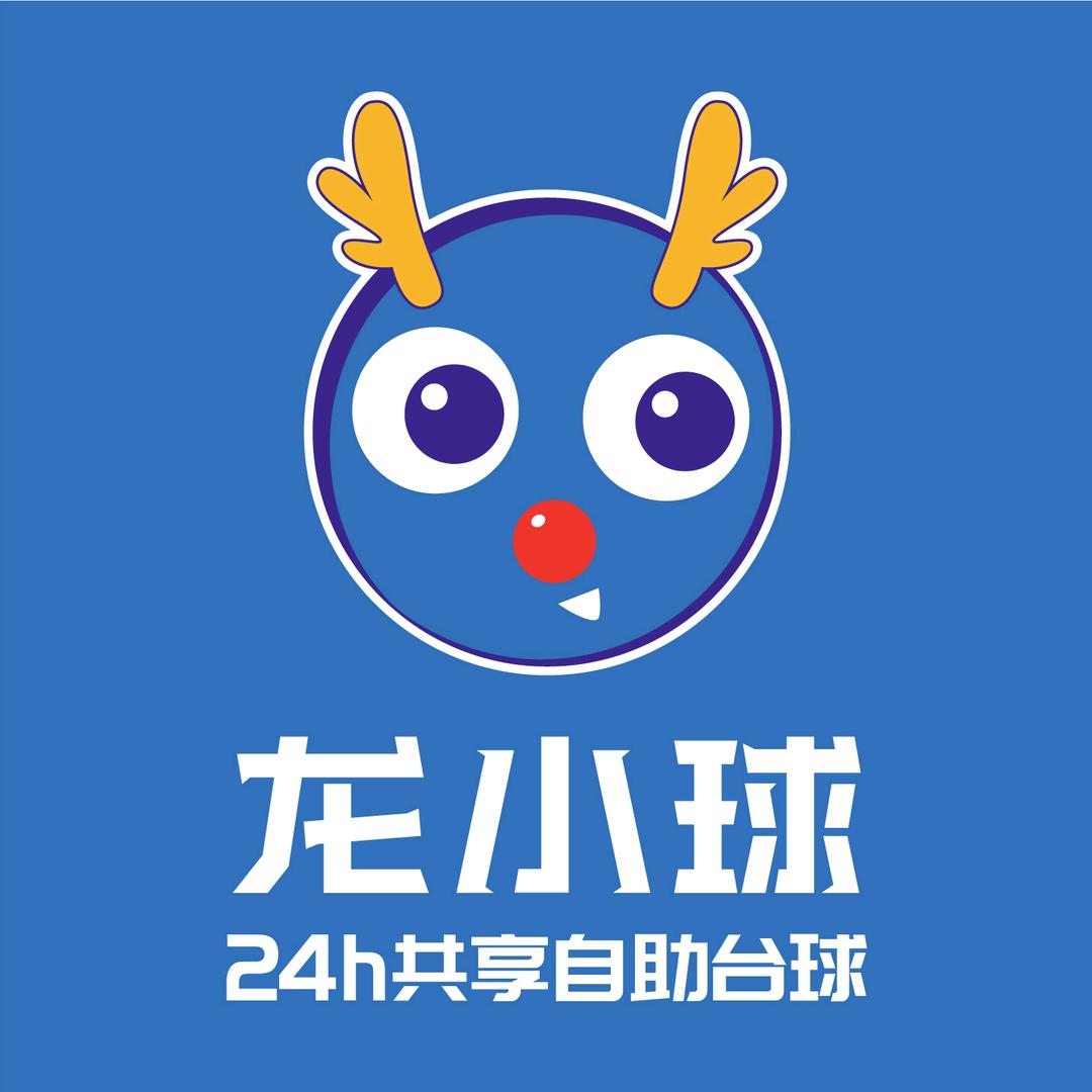 文山市龙小球台球俱乐部