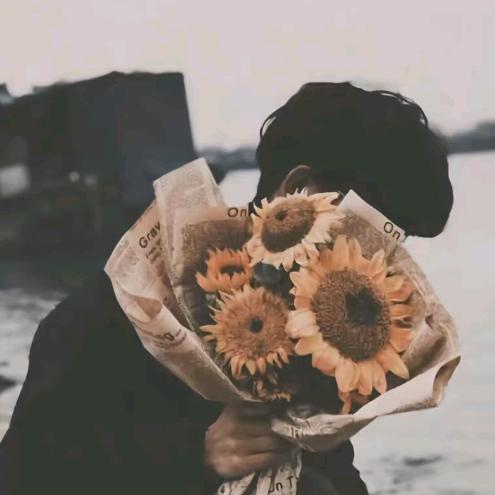 Sunlight葵边捕风