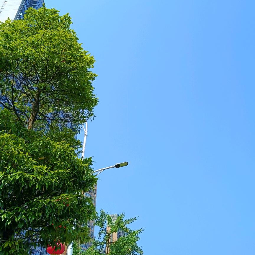 农村王姐（另一个号开播)