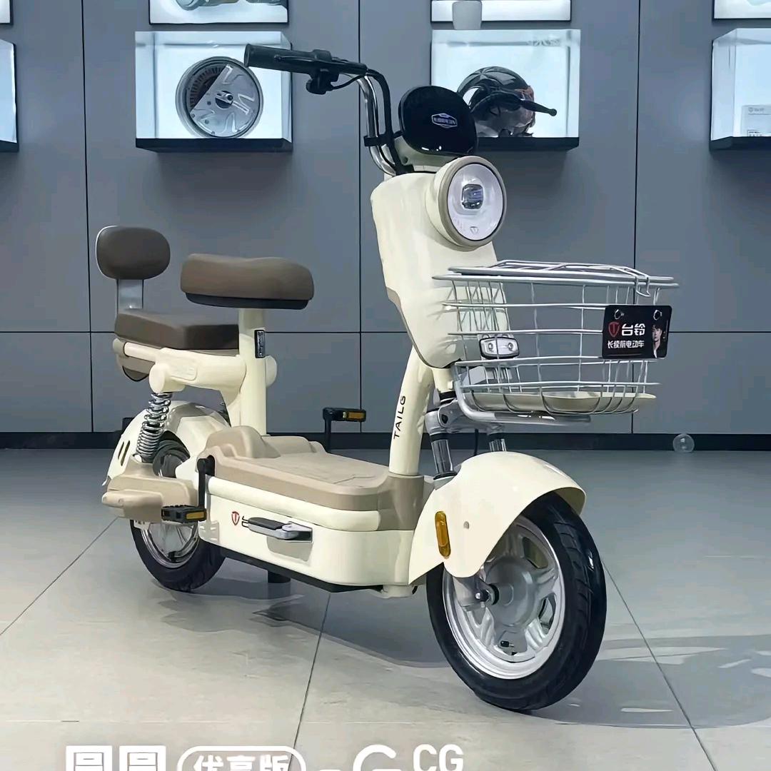 台铃电动车（正大电摩城）