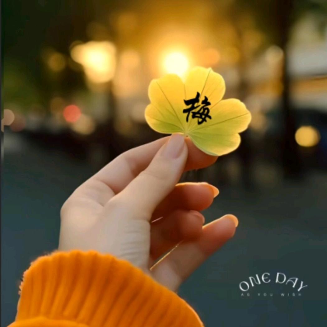 এ᭄飞💕翔࿐ᩚ