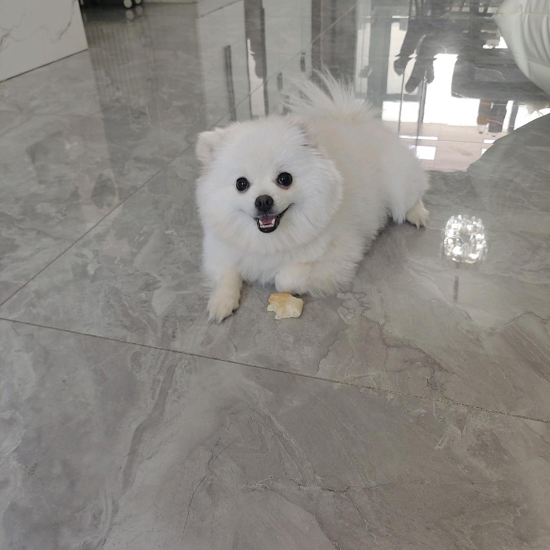 🤩章鱼小哥🤑