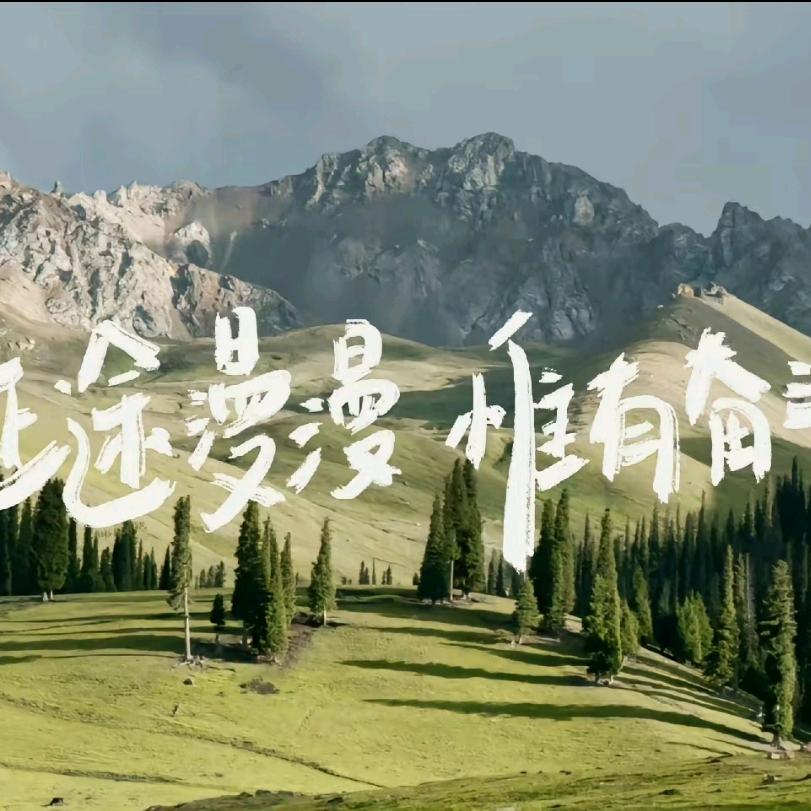 生活记录官