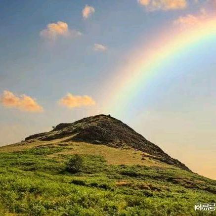 星期八，经营。专做 水包砂纤维素。