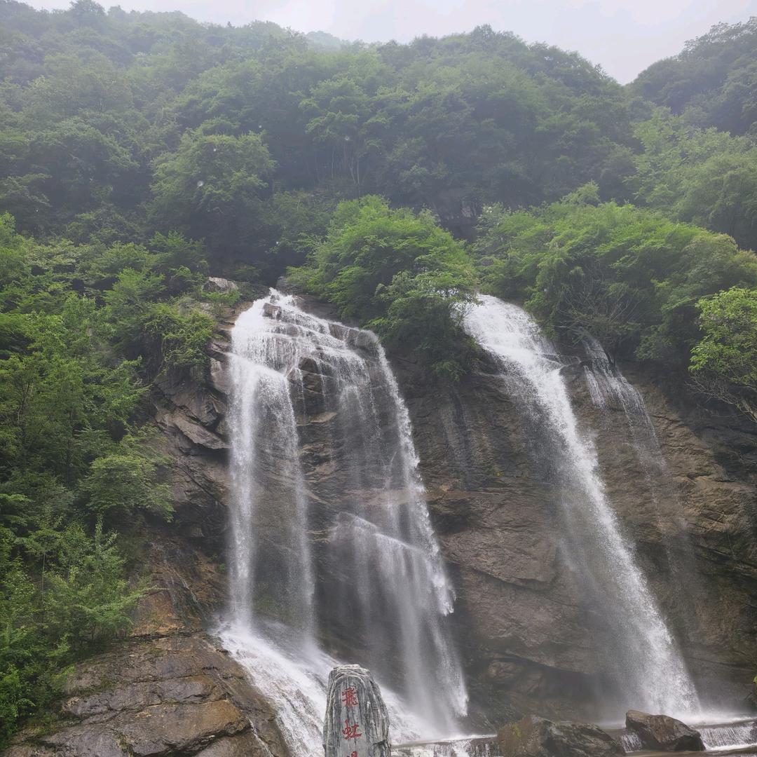 简单点