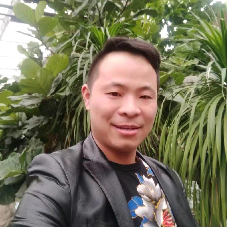 追忆似水年华