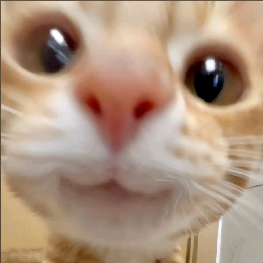 5_