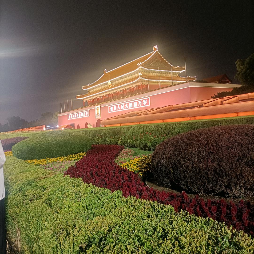 👏开心👏