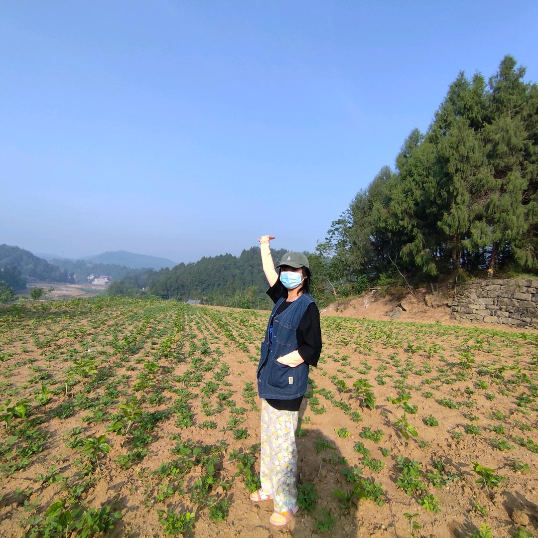种地阿珍