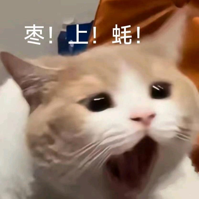 yuandzsx