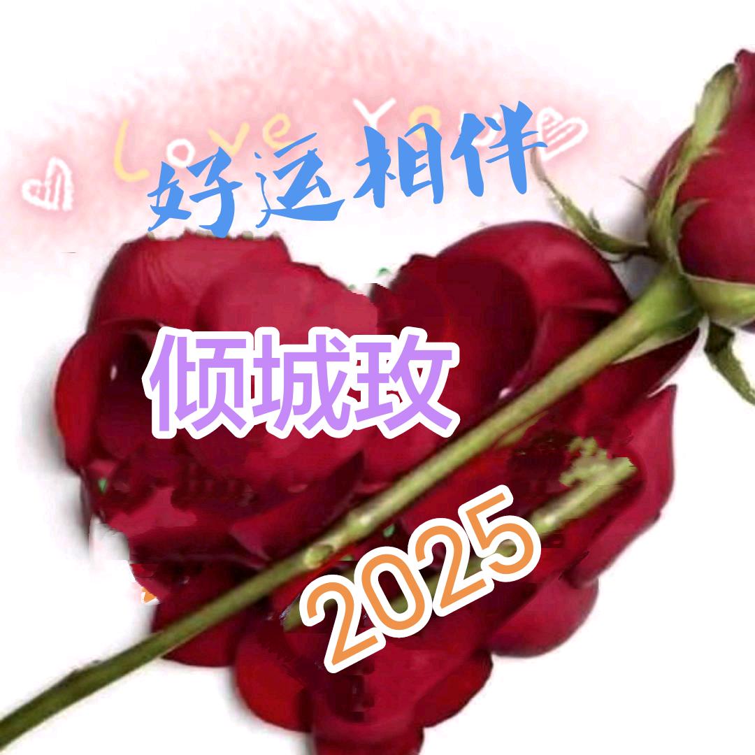 倾城玫（拒连赞）