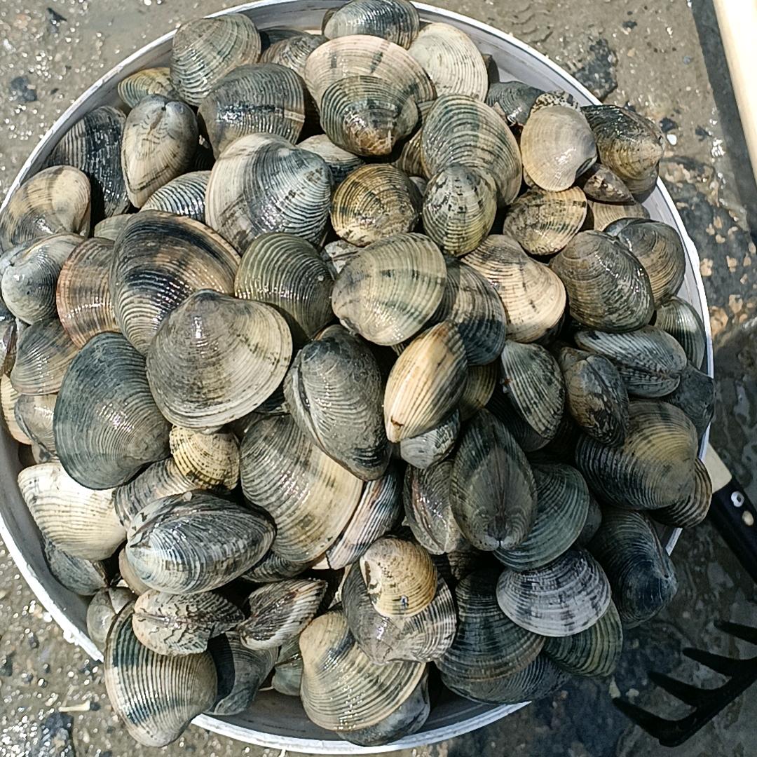 王洪伟