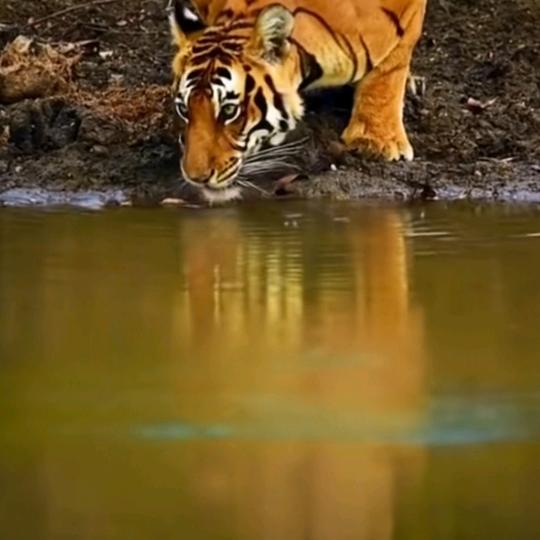 十个儿子的老爸