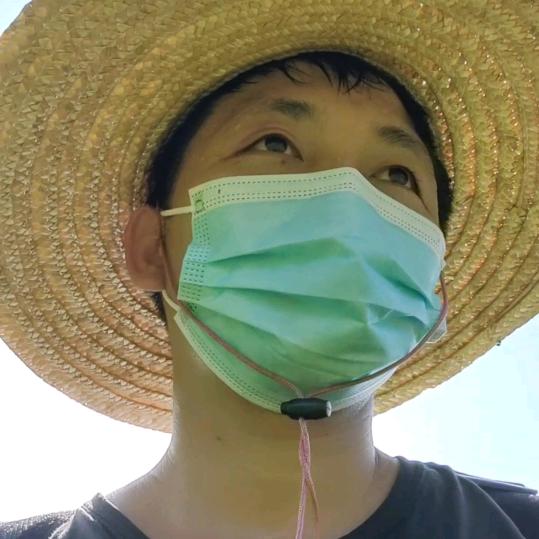 罗定生江璟源生态鹅