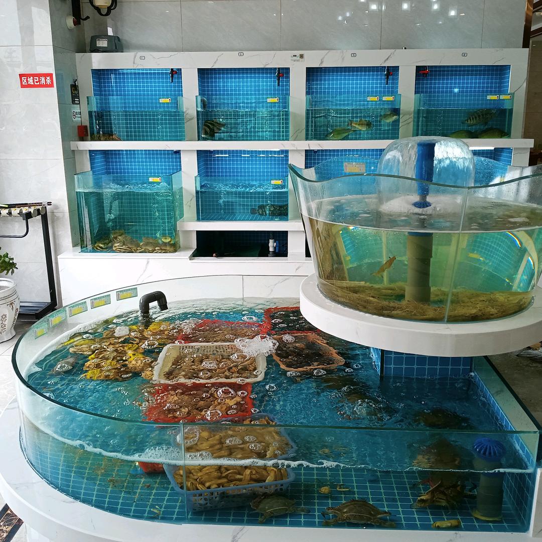 晨熙水族（海鲜池鱼缸定制建造）